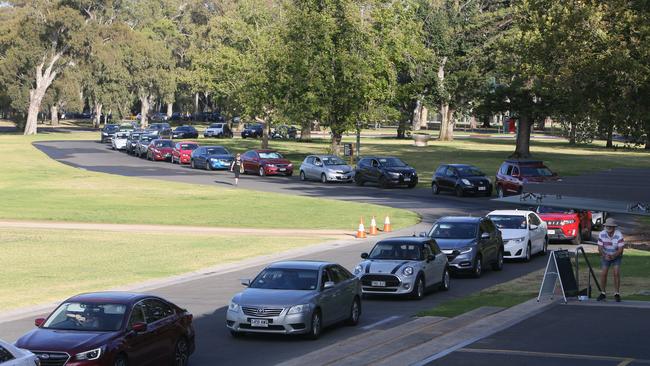 The line up early on Wednesday morning at the Covid testing station at Victoria Park. Picture: Emma Brasier