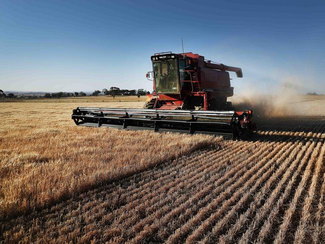 Australian barley farmers are braced for China to impose higher tariffs. Picture Rohan Kelly.