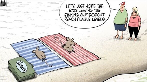 Craig Mann's cartoon, Friday June 11