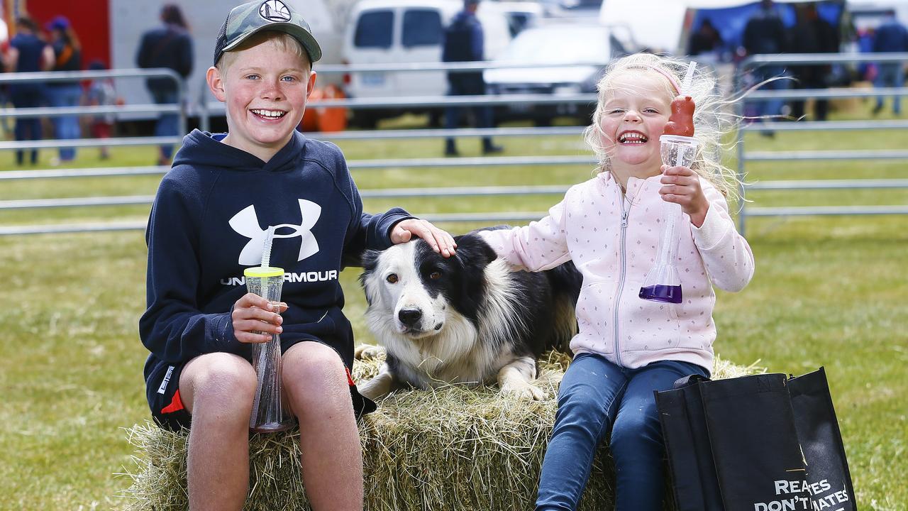 Highlands Bushfest, at Bothwell. (L-R) Connor, 11, and Summer Byers, 4, both of Brighton with sheep dog Lane. Picture: MATT THOMPSON