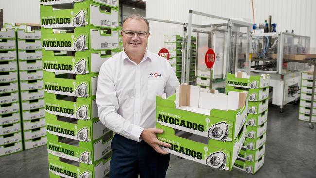 Fibre group general manager Brian Lowe with the group’s ‘no-crush’ packaging trays. Picture: Zoe Phillips