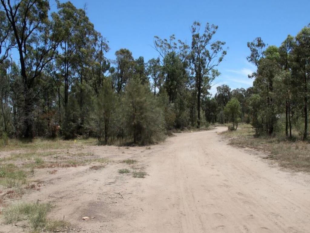 The first section of the Train’s driveway with multiple evidence markers.