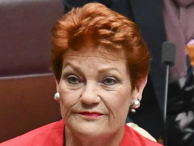 CANBERRA, AUSTRALIA - NewsWire Photos - November 27, 2024:  Senator Pauline Hanson and Senator Fatima Payman in the Senate at Parliament House in Canberra. Picture: NewsWire / Martin Ollman