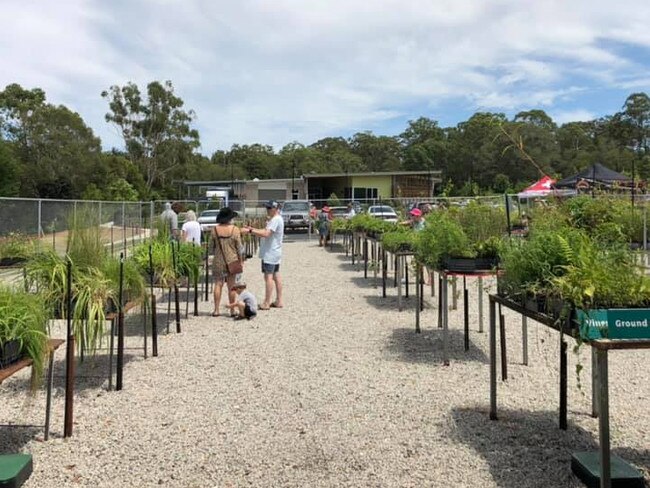 The redeveloped native plant nursery can now hold more than 100,000 plants in tube stock. Photo: Paula Shearer.