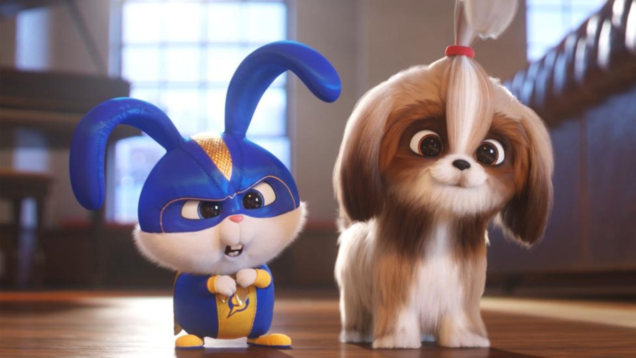 who played daisy the secret life of pets 2