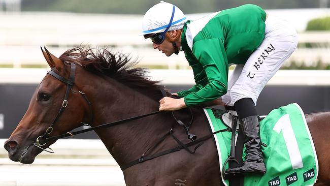 Manaal has already won a Group 1, 2, and 3 level. Picture: Jeremy Ng/Getty Images