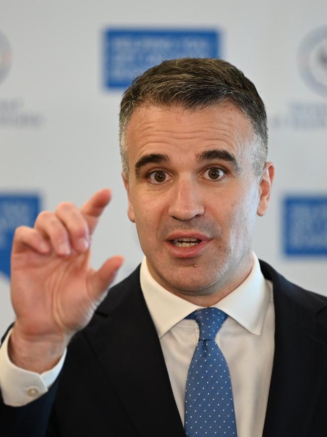 Premier Peter Malinauskas. Picture: NCA NewsWire / Naomi Jellicoe