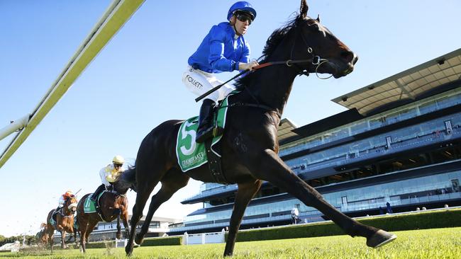 Jason Collett wins on Kanazawa at Royal Randwick. Picture: Mark Evans/Getty Images)