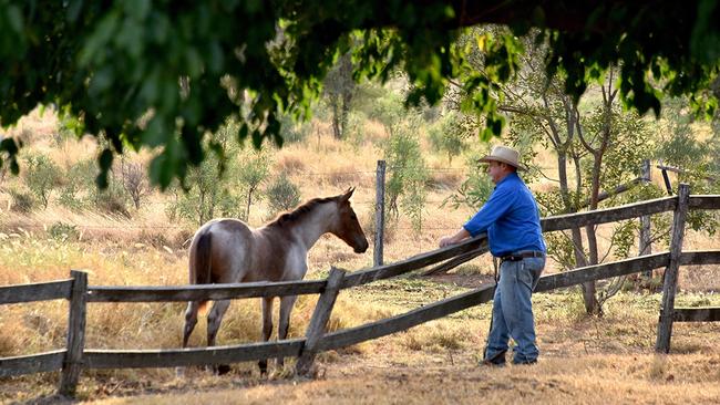 Blair with one of the family’s horses on the station. Pictures: John Elliott