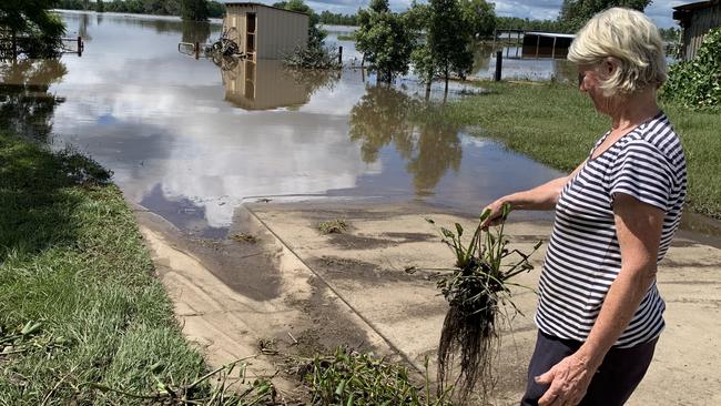 Trisha Wicks cleans up the weed left from the Clarence River flooding on 2 March. Picture: Matt Gazy