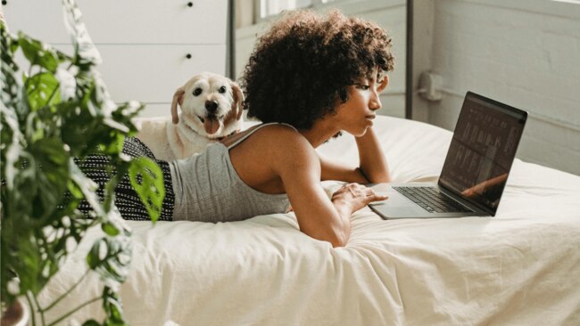 Does your pet like to hang out in your bedding? Image: Pexels