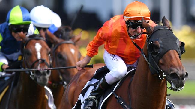 Dreamforce will target the George Ryder Stakes in the autumn. Picture: AAP