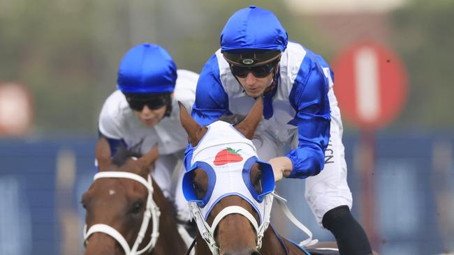 James McDonald and The Elanora take out the De Bortoli Wines Handicap.