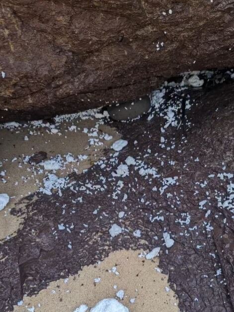 It looks like it has been snowing at Bondi Beach. Picture: Instagram