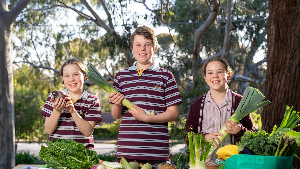 Jennifer Young, Harrison Steinhardt and Lucy Young know their veges. Picture: Adam Dormand