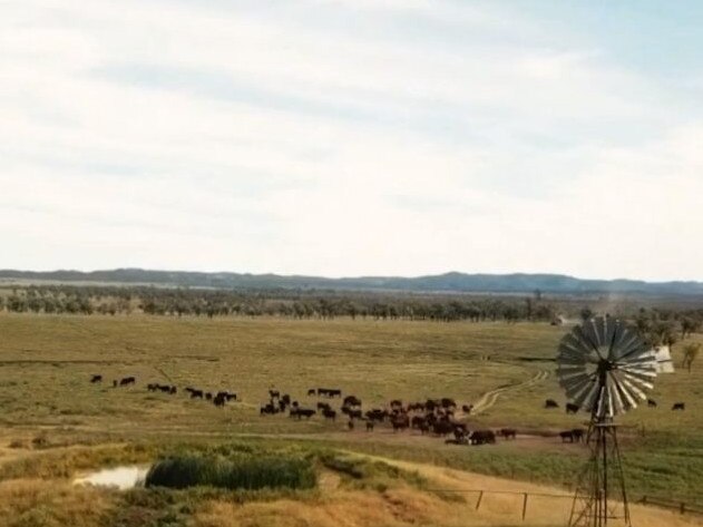 Mantuan Downs, near Springsure, sold for $92.6m in January. Image supplied.