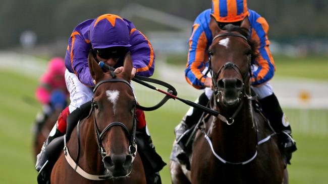 Lloyd Williams’ top European stayer Order Of St George (right) is likely to be high up in the weights for the Melbourne Cup.