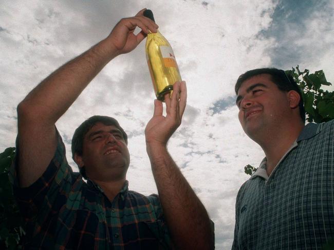 David and Vince Littore in their vineyard,Shantell Vineyard. Yarra Valley.p/. 18/2/98./alcohol