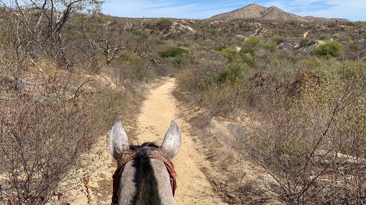 Why Los Cabos is becoming a holiday hotspot for Aussie travellers.