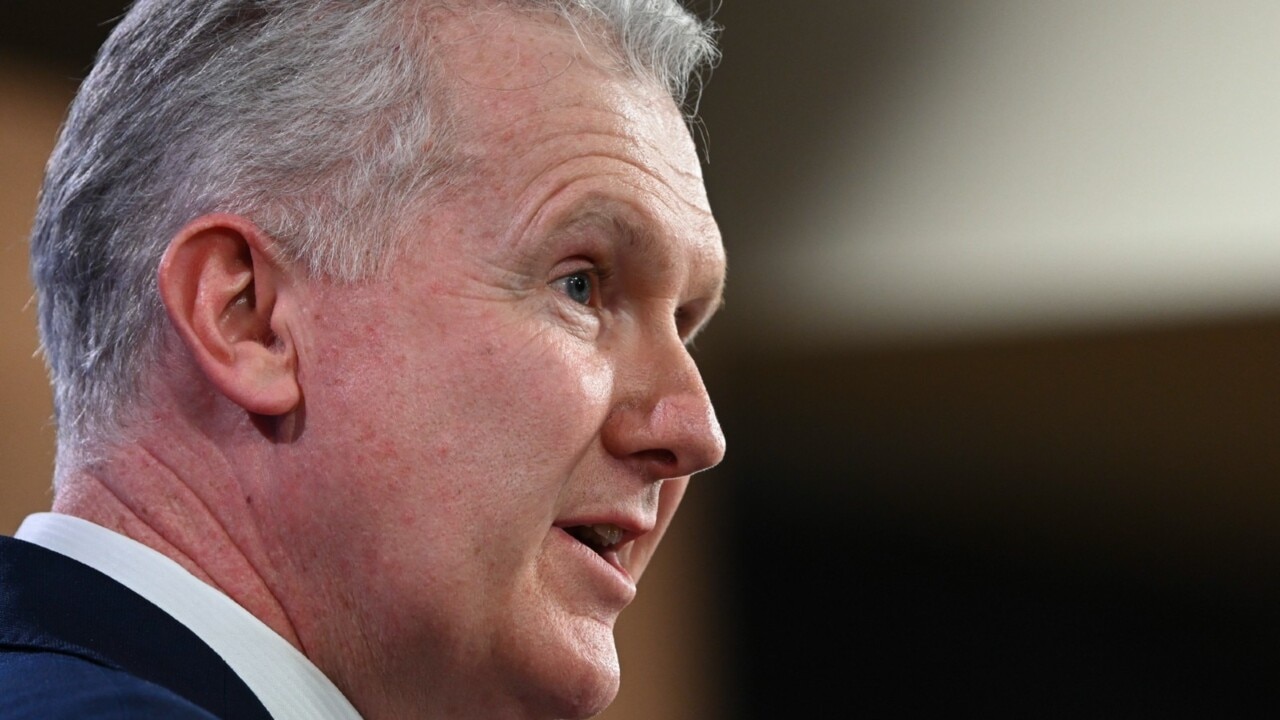 Australia has a ‘principle’ where people should be paid ‘decent’ wages: Tony Burke