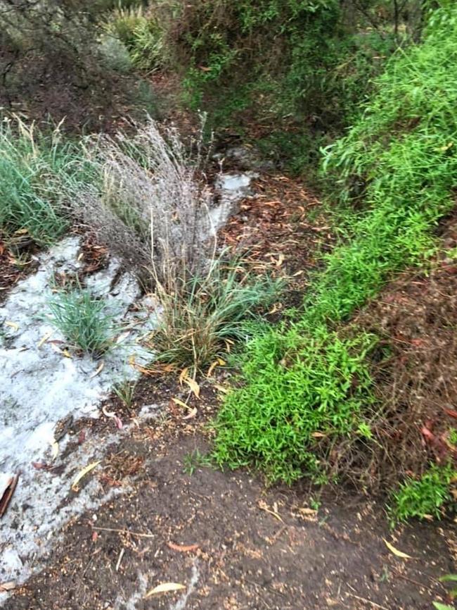 The concrete ran into the shrubs and greenery. Picture: Michael DiCarlo