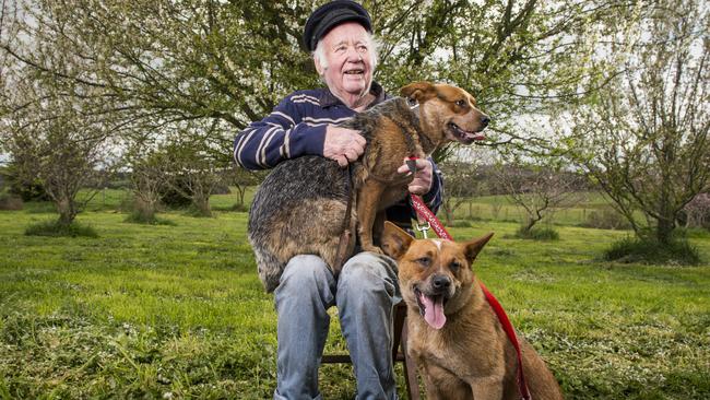 Herbert Bettels reunited with Red and Blue. Picture: Eugene Hyland