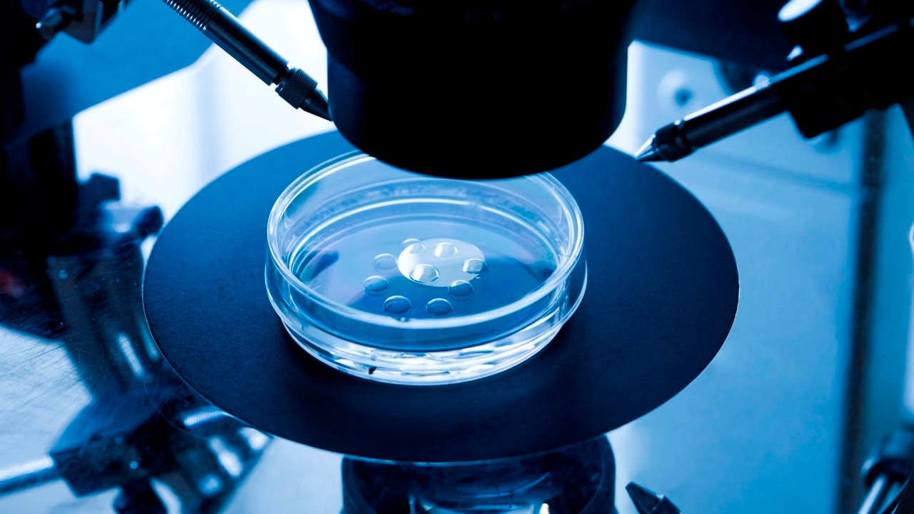 Monash IVF faces lawsuit over allegations of using embryos for scientific purposes