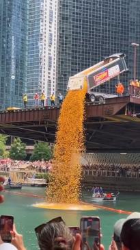 Thousands of rubber ducks get poured into river