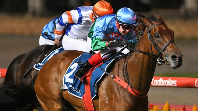 Scales Of Justice is worthy of a start in the All-Star Mile. Picture: AAP