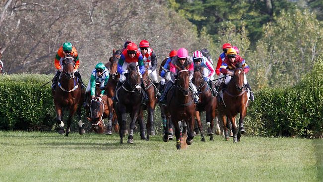 Protests after horse put down following fall at Oakbank Racing Carnival ...