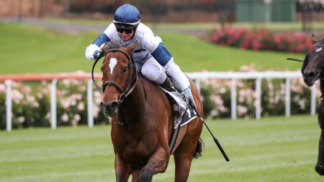Miami Bound strides out under jockey Jamie Kah to win the Moonee Valley Gold Cup. Picture: Racing Photos/Getty Images.
