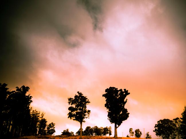 WEB ONLY F18B40 Minimalist afternoon landscape of trees in a hill clearing underneath purple and orange copy-space clouds. Ellendale Tasmania