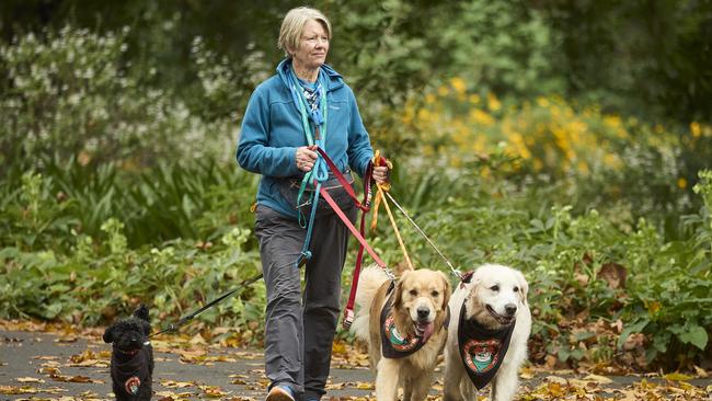 Million Paws Walk at Adelaide Botanic Gardens. Picture: Matt Loxton