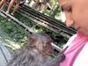 Bali monkeys’ unexpected acts shock tourists