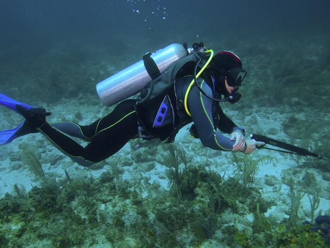 Police believe it could have become detached while spear fishing. Picture: Getty Images