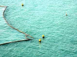 Shark meshing nets. Picture: DPI