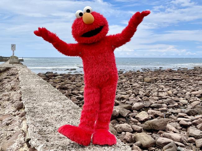 Elmo is the most irritating Muppet. Picture: Dylan Arvela