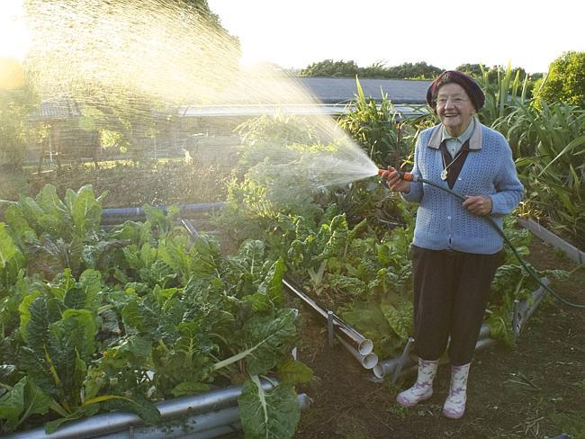 Sister Loyola tends her garden at a convent in New Zealand’s Island Baycene.