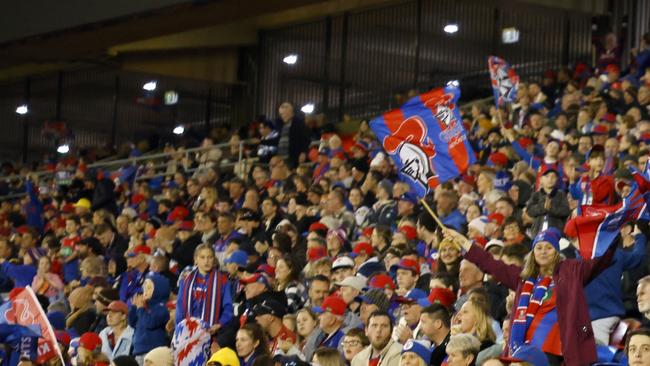 Eels vs Knights crowd. Picture: NRL Photos