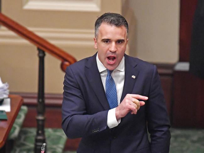 Opposition Leader Peter Malinauskas is calling for an independent inquiry into the situation. Picture: Tom Huntley