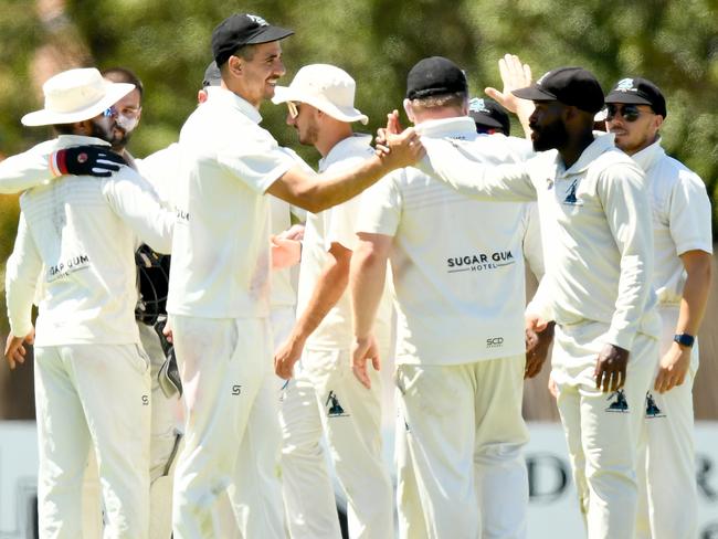 Stefon King of Sydenham Hillside is congratulated by team mates after taking the wicket of Mitchell Pittaway of St Albans during the Victorian Turf Cricket Association match between St Albans and Sydenham Hillside at Kings Park, on February 3, 2024, in Melbourne, Australia. (Photo by Josh Chadwick)