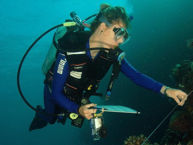 Dr Jess Melbourne-Thomas gathering data underwater in Sulawesi, Indonesia. Picture: MIKE FLAVELL