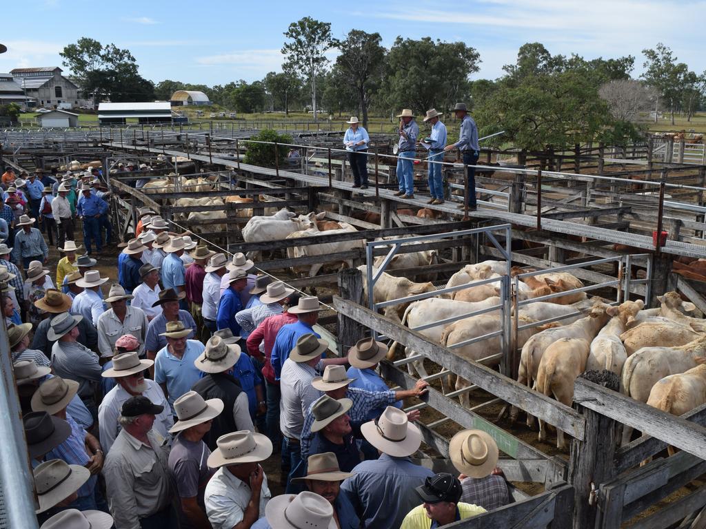 BIGGENDEN SALE: Taking some precautions with the COVID-19 virus it's all systems go with Monday's cattle sale.