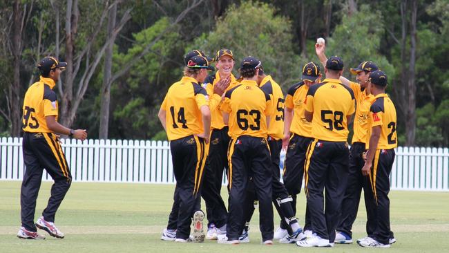 Blacktown Mounties celebrating a wicket against Mosman. Picture: Blake Phillips