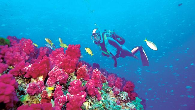 Solitary Islands Marine Park. Picture: Ian Shaw