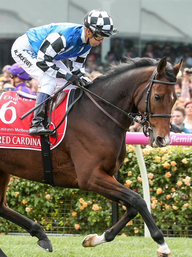 Red Cardinal leads the list of horses subjected to jiggering on a treadmill, it’s alleged. The horse is still racing. Picture: Pat Scala/via Getty.