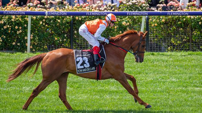 Genetic testing showed Melbourne Cup winner Vow And Declare would excel at distances beyond 2800m. Picture: Jason Edwards