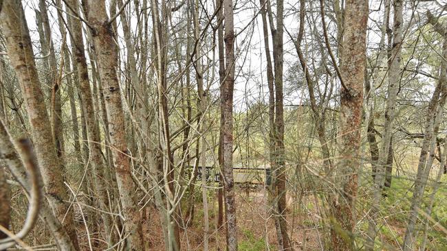 'Davistown Wetland' Council sign hidden behind trees at Davistown . Picture: AAP / Troy Snook