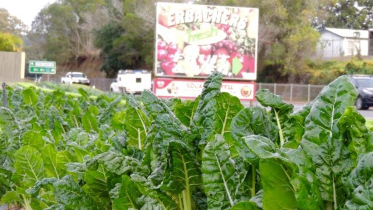 Erbacher’s Fruit and Vegetables is a local favourite for fresh produce.