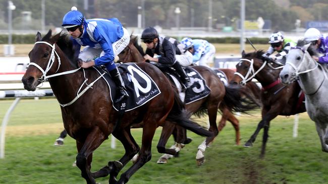Easy street: Hugh Bowman and Winx leave their rivals in their wake. Picture: AFP